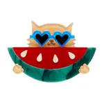 Erstwilder - Fan Favourites - Sunnies and Seeds Brooch