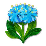 Erstwilder - Royal Botanic Gardens Victoria - Blue Pincushion Brooch