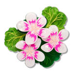 Erstwilder - Royal Botanic Gardens Victoria - Austral Stork's-Bill Brooch