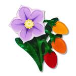 Erstwilder - Royal Botanic Gardens Victoria - Kangaroo Apple Brooch