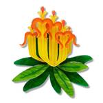 Erstwilder - Royal Botanic Gardens Victoria - Long-flower Mistletoe Brooch