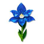 Erstwilder - Royal Botanic Gardens Victoria - Spotted Sun-Orchid Brooch