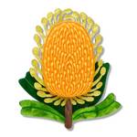 Erstwilder - Royal Botanic Gardens Victoria - Mountain Banksia Brooch