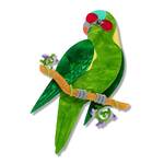 Erstwilder - Royal Botanic Gardens Victoria - Musk Lorikeet Brooch