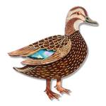 Erstwilder - Royal Botanic Gardens Victoria - Pacific Black Duck Brooch