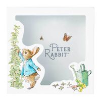 Beatrix Potter Peter Rabbit Money Bank