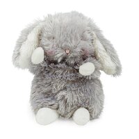 Bunnies By The Bay Soft Plush In Box - Wee Bloom Bunny