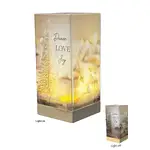 LED Christmas Light Lamp - Peace Love Joy