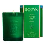 Ecoya Holiday Collection Madison Candle - Fresh Pine