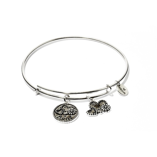 Chrysalis Friend & Family Collection - Aunt Expandable Bangle Rhodium Flash Plating