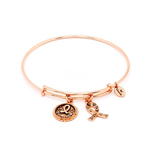 Chrysalis Thinking Of You Collection - Cousin Expandable Bangle Rose Gold