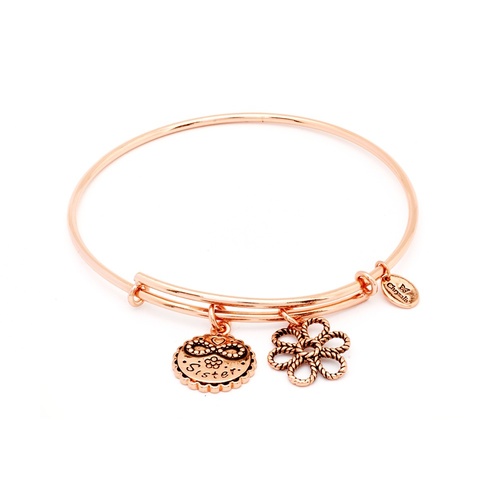 Chrysalis Friend & Family Collection - Sister Expandable Bangle Rose Gold