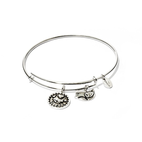 Chrysalis Friend & Family Collection - Niece Expandable Bangle Rhodium Flash Plating
