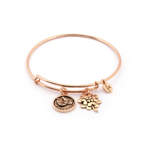 Chrysalis Thinking Of You Collection - Good Luck Expandable Bangle Rose Gold
