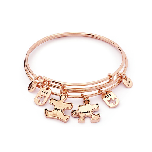 Chrysalis Two of a Kind Collection - Best Friends Expandable Bangles Rose Gold