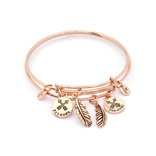 Chrysalis Two of a Kind Collection - Forever Friends Expandable Bangles Rose Gold