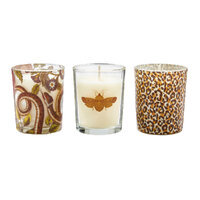 Spode Creatures Of Curiosity - Scented Candles (Set of 3)