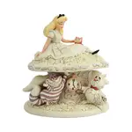 DAMAGED BOX - Jim Shore Disney Traditions - Alice in Wonderland - Whimsy & Wonder White Woodland