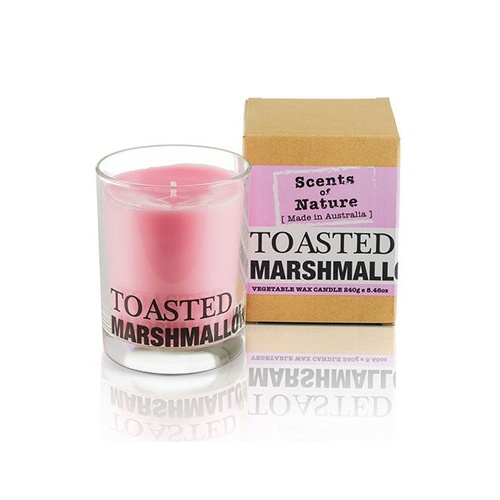 DAMAGED BOX - Scents of Nature by Tilley Soy Candle - Toasted Marshmallow