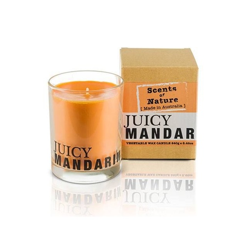 DAMAGED BOX - Scents of Nature by Tilley Soy Candle - Juicy Mandarin