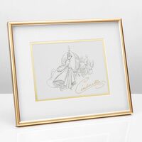 Disney Collectable By Widdop And Co Framed Print - Cinderella
