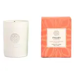 Tilley Rainbow Collection - Crisp Watermelon & Guava Petite Soy Candle