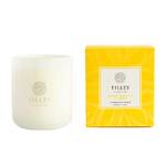 Tilley Rainbow Collection - Suede Tobacco & Amber Soy Candle