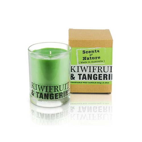 Scents of Nature by Tilley Soy Candle - Kiwifruit & Tangerine