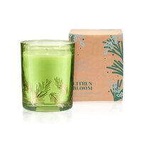 Scents of Nature by Tilley Christmas Limited Edition Candle - Citrus Bloom