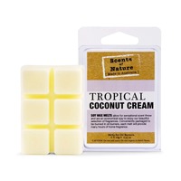 Scents of Nature by Tilley Soy Wax Melts - Tropical Coconut Cream