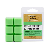 Scents of Nature by Tilley Soy Wax Melts - Kiwifruit & Tangerine