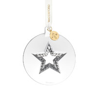 Waterford Crystal Star Hanging Ornament