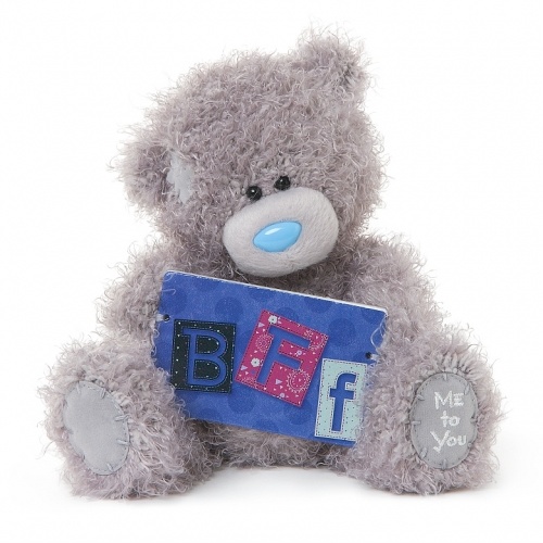 Tatty Teddy Bear Me To You 7" Best Friends Forever BFF
