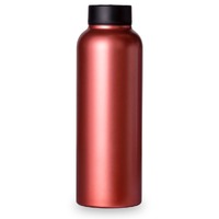 T2 Stainless Steel Flask - Metallic Rose Gold