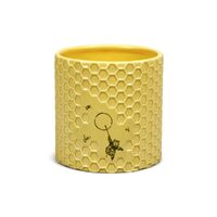 Half Moon Bay Disney - Plant Pot - Winnie The Pooh Honeycomb