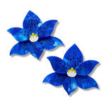 Erstwilder - Royal Botanic Gardens Victoria - Spotted Sun Orchid Hair Clips Set - 2 Pieces