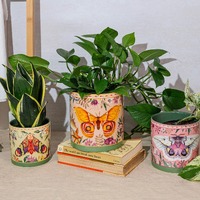La La Land Field Trip - Pot Planter (Set of 3)