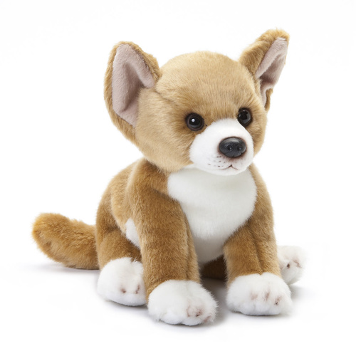DEMDACO Baby Small Plush - Chihuahua