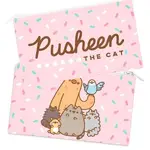 Impact Merch - Pusheen & Friends Flat Pencil Case