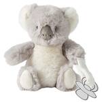 Pilbeam Jiggle & Giggle - Koala Dummy Clip