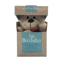 Sweet As A Bear - 1st Birthday Boy