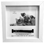 White Pet Frame with Collar 4x6"