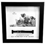 Black Pet Frame with Collar 4x6"