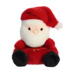 Palm Pals - Santa