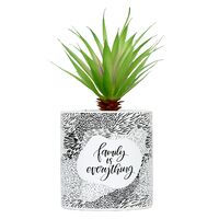 Pot Plant By Splosh - Family is Everything