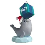 2025 Hallmark Keepsake Ornament - Grandson