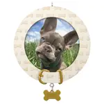 2025 Hallmark Keepsake Ornament - Faithful Friend