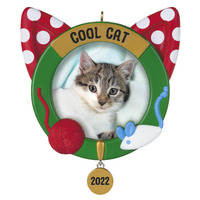 2022 Hallmark Keepsake Ornament - Cool Cat Photo Frame