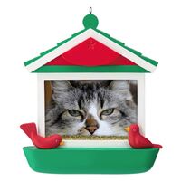 2019 Hallmark Keepsake Ornament - Cat in Bird Feeder 2019 Photo Frame 