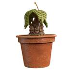 2025 Hallmark Keepsake Ornament - Harry Potter Mandrake with Sound